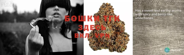 PSILOCYBIN Инсар