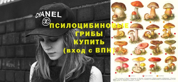 PSILOCYBIN Баксан