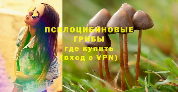 PSILOCYBIN Армянск